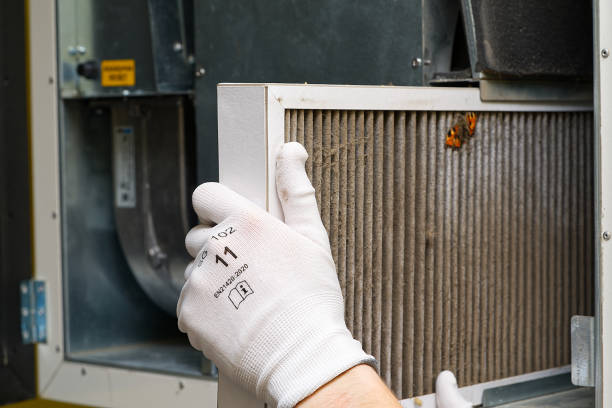 Best Affordable Duct Cleaning Services  in Walker, MI