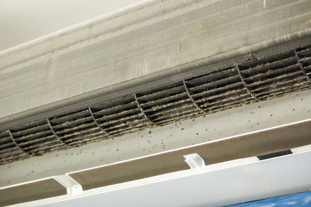 Best HVAC Duct Inspection Services  in Walker, MI